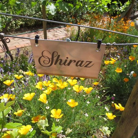 Bed and Breakfast Haus Perlenblick Paarl Zewnętrze zdjęcie