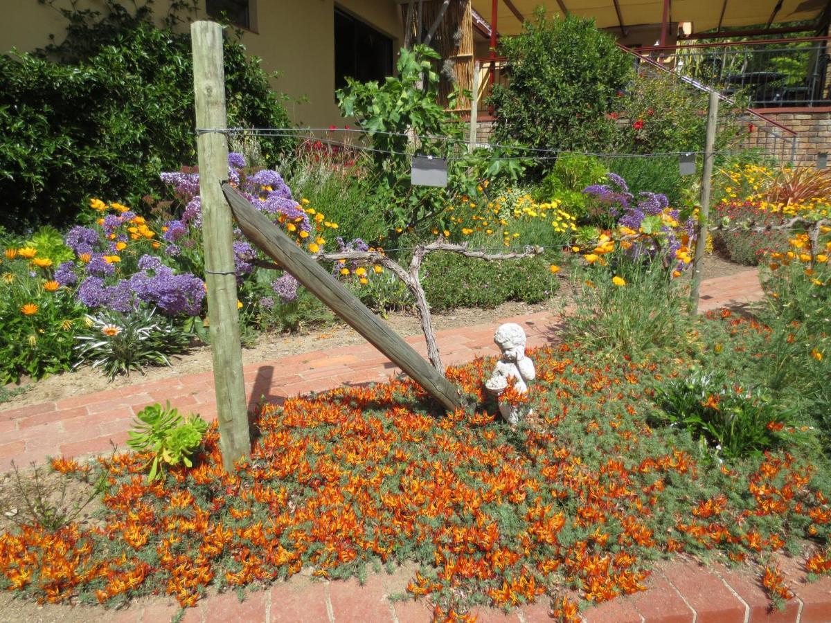 Bed and Breakfast Haus Perlenblick Paarl Zewnętrze zdjęcie