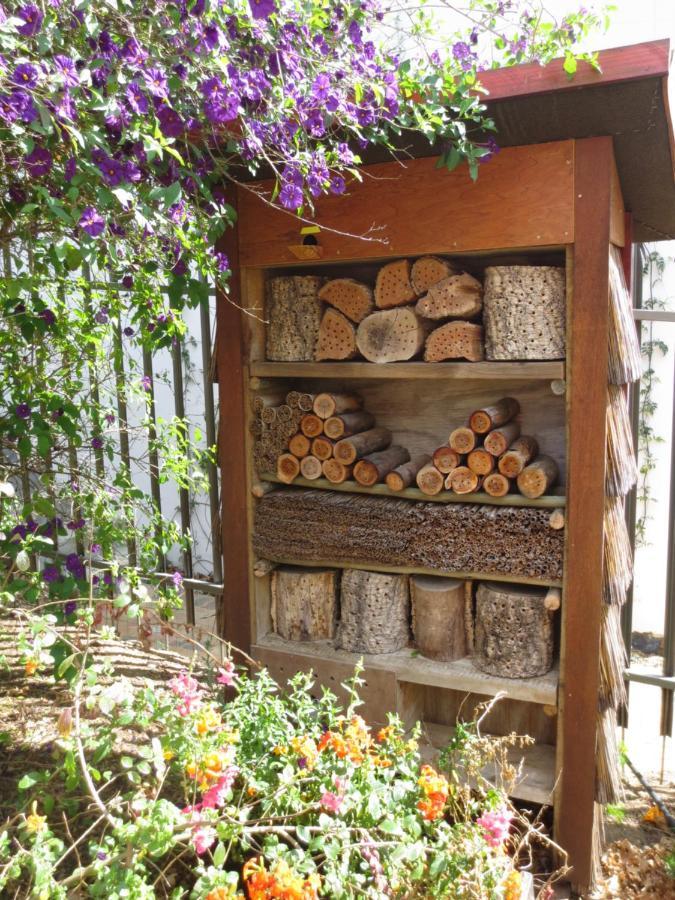 Bed and Breakfast Haus Perlenblick Paarl Zewnętrze zdjęcie